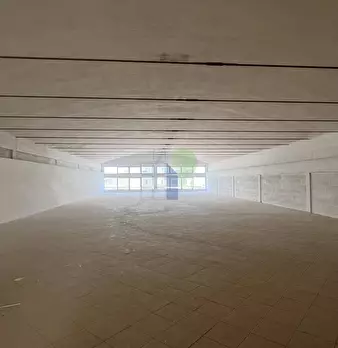 Foto annuncio 17
