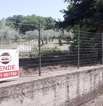 Foto annuncio 48