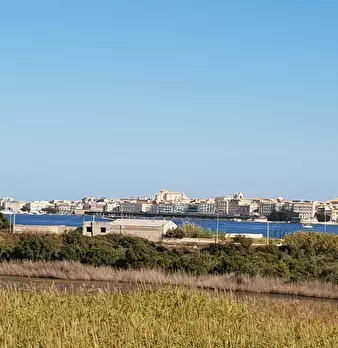 Foto annuncio 8