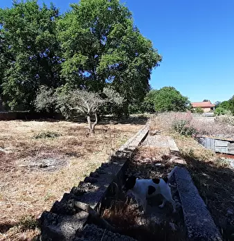 Foto annuncio 33