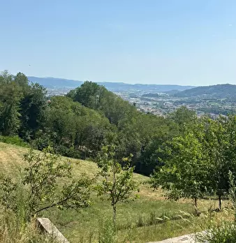 Foto annuncio 6