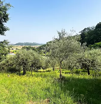 Foto annuncio 8