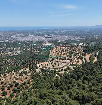 Foto annuncio 31