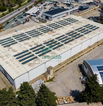 Foto annuncio 19
