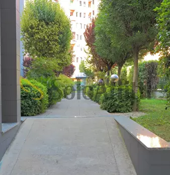 Foto annuncio 26