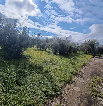 Foto annuncio 16