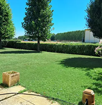 Foto annuncio 7