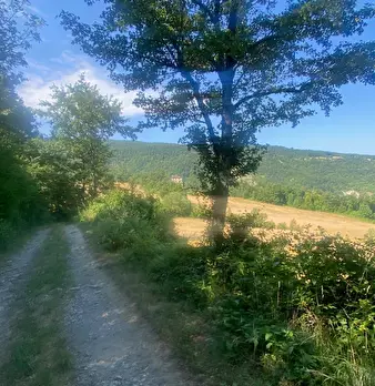 Foto annuncio 3