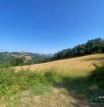Foto annuncio 6
