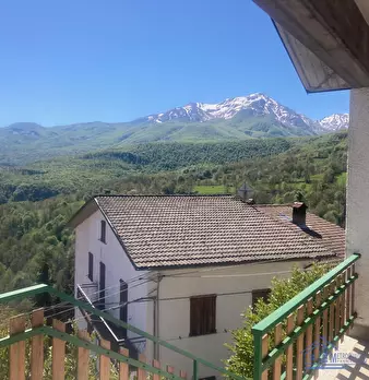 Foto annuncio 1