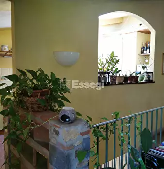 Foto annuncio 61