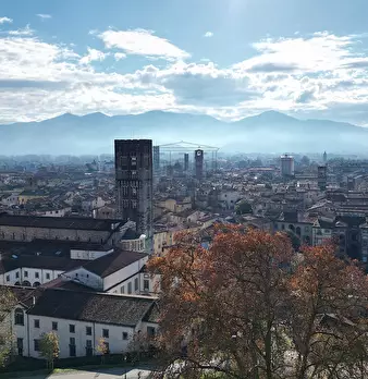 Foto annuncio 19