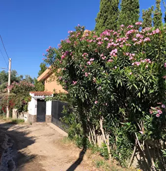 Foto annuncio 40