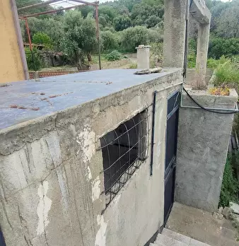Foto annuncio 45