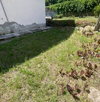 Foto annuncio 6