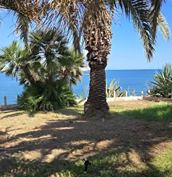 Foto annuncio 3