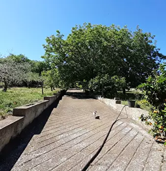 Foto annuncio 19