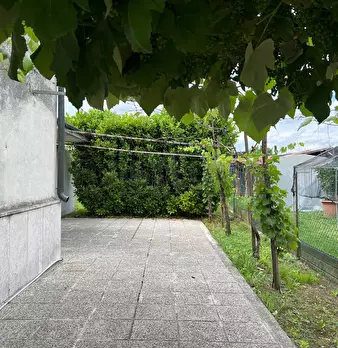 Foto annuncio 34