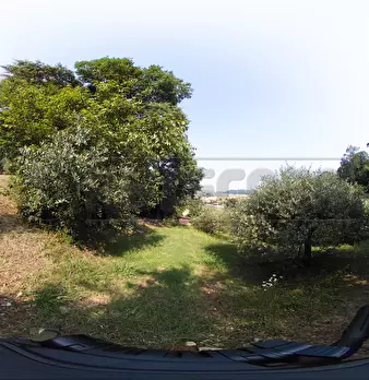 Foto annuncio 46