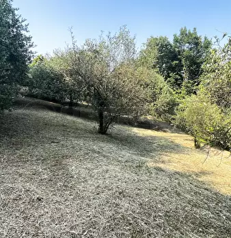 Foto annuncio 17
