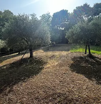 Foto annuncio 13