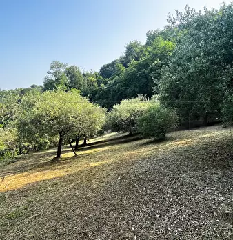 Foto annuncio 14