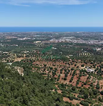 Foto annuncio 32