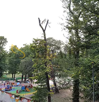 Foto annuncio 10