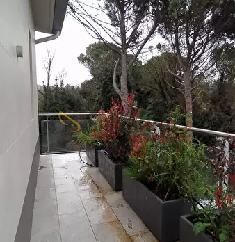 Foto annuncio 39