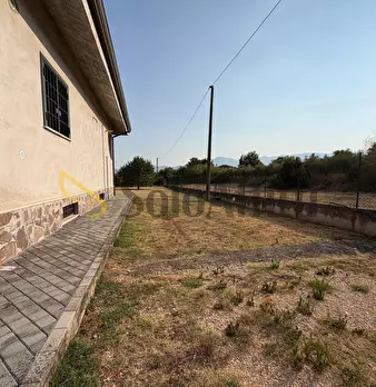 Foto annuncio 21