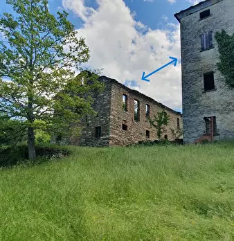 Foto annuncio 37