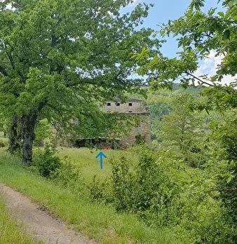 Foto annuncio 36
