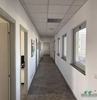 Foto annuncio 11