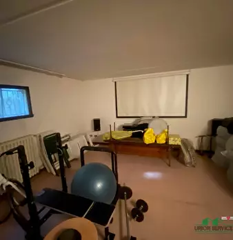 Foto annuncio 30