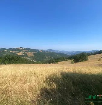 Foto annuncio 9