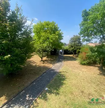Foto annuncio 10