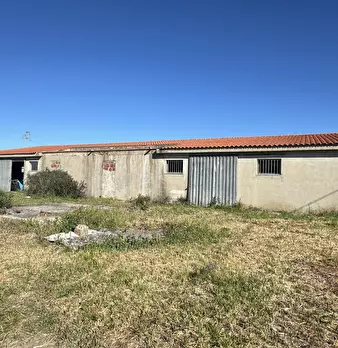 Foto annuncio 8