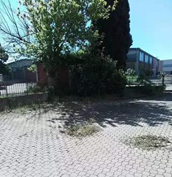Foto annuncio 46