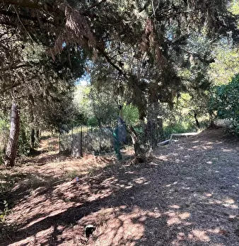 Foto annuncio 12