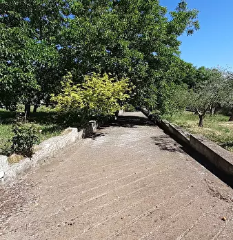 Foto annuncio 40
