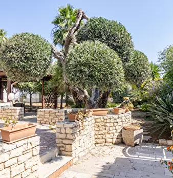 Foto annuncio 6