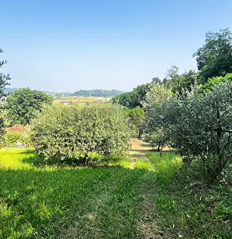 Foto annuncio 11