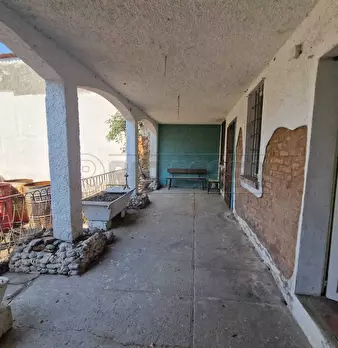 Foto annuncio 21