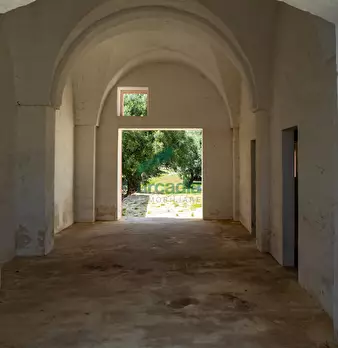 Foto annuncio 19
