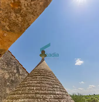 Foto annuncio 37