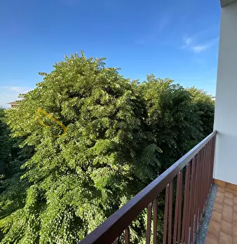 Foto annuncio 17