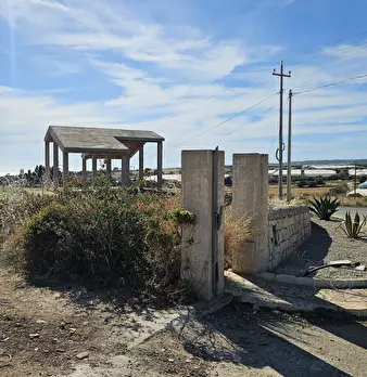 Foto annuncio 5