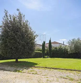 Foto annuncio 61