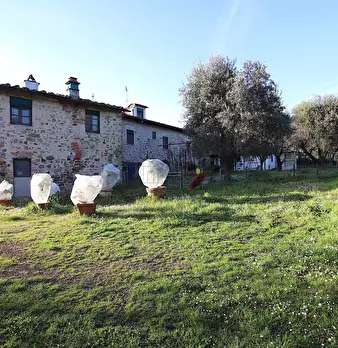 Foto annuncio 12