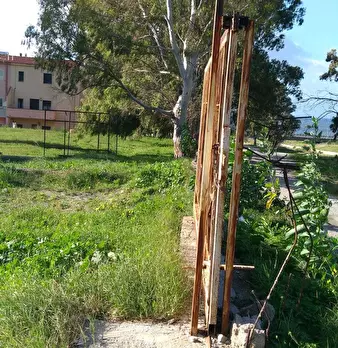 Foto annuncio 9